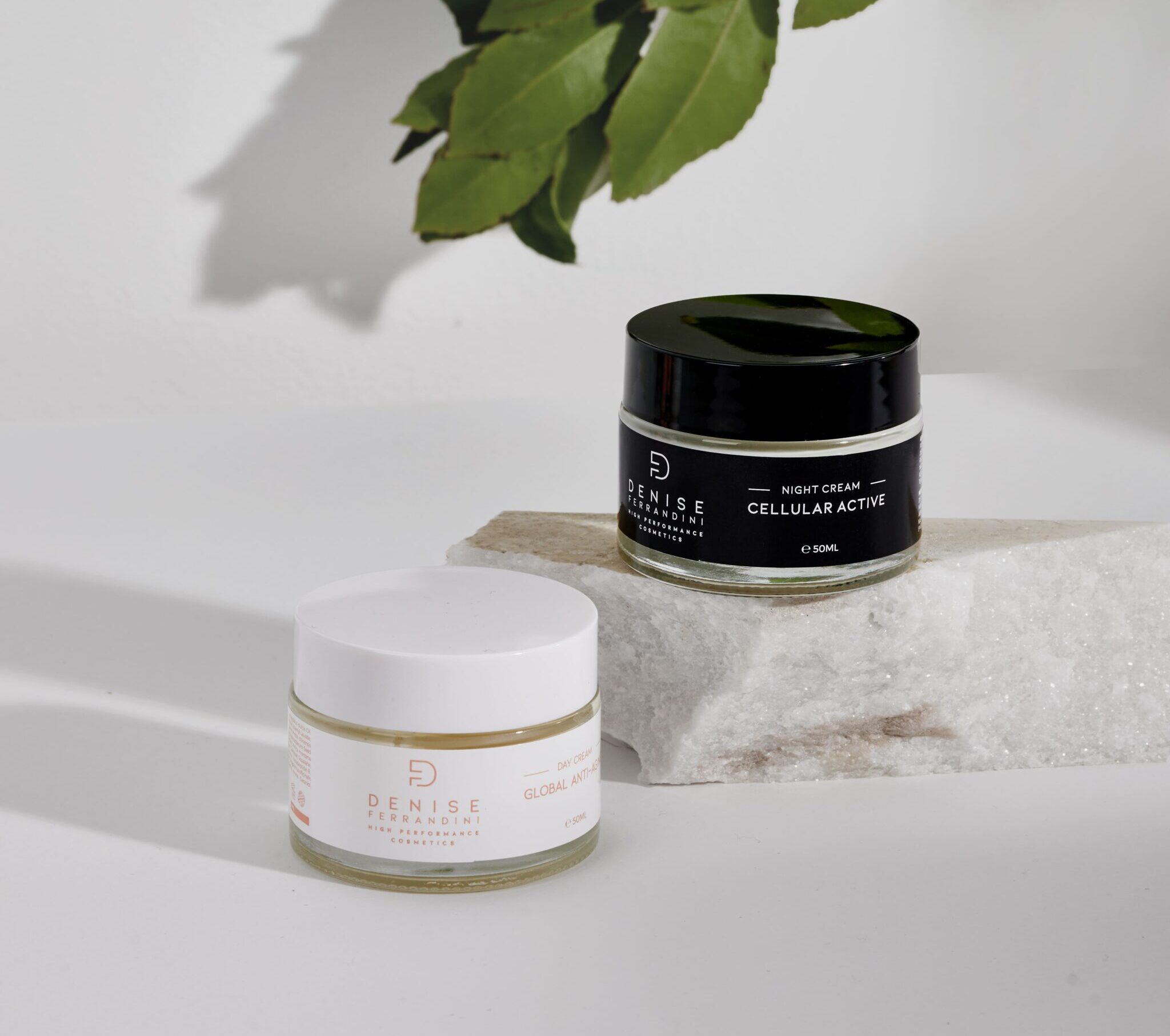Global Anti-aging Day Cream & Celular Active Night Cream | deniseferrandinicosmetics.com